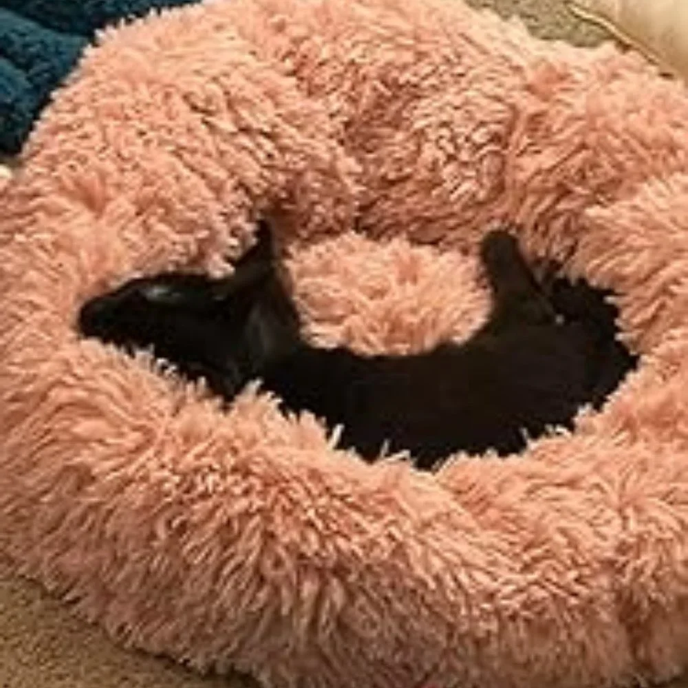 Dog Bed for Small Dogs